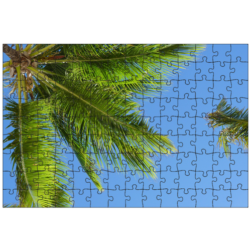 фото Магнитный пазл 27x18см."карибский бассейн, кокосовые пальмы, palm" на холодильник lotsprints