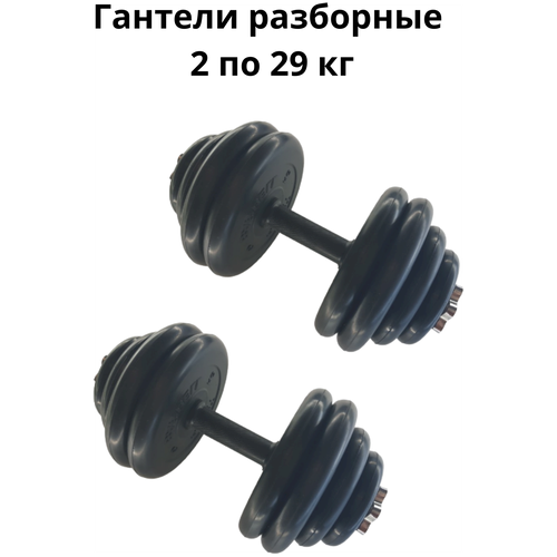 фото Гантели разборные 2 шт. по 29 кг mb barbell