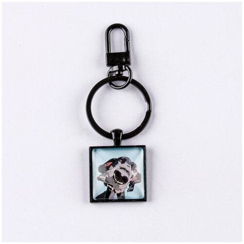 фото Брелок darifly чёрный с небольшим карабином, большим кольцом для ключей и квадратным рисунком "морда чёрно-белой собаки на голубом фоне