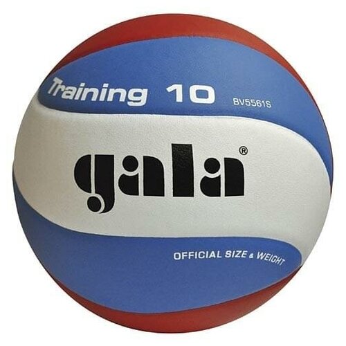 фото Мяч волейбольный gala training 10 арт. bv5561s р. 5