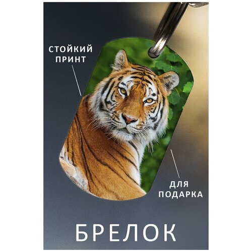 фото Брелок для ключей тигр подарок мужчине ребенку женщине, брелок детский женский мужской, подвеска на рюкзак, брелок на сумку животные zhenya cloud