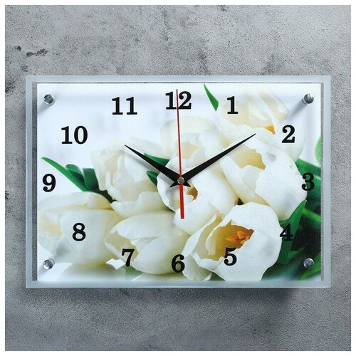 фото Часы настенные, серия: цветы, "тюльпаны", 25х35 см микс newstory