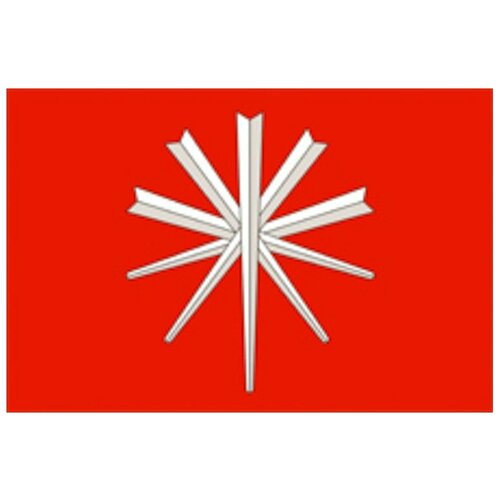 фото Флаг нижнего ломова цтп «феникс»