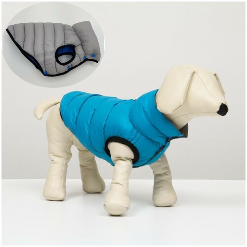 фото Куртка для собак двухсторонняя с воротником, s35 (дс 34, ош 33, ог 44 см), голубая/серая сима-ленд