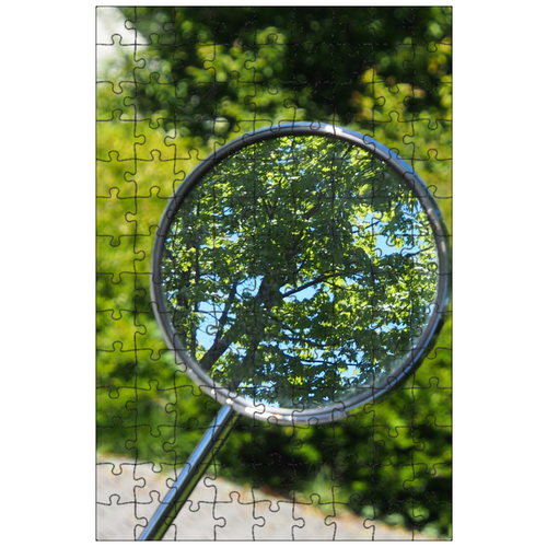 фото Магнитный пазл 27x18см."зеркало заднего вида, природа, дерево" на холодильник lotsprints