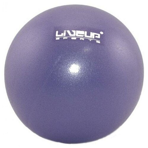 фото Мяч liveup mini ball цвет:фиолетовый, размер:20см