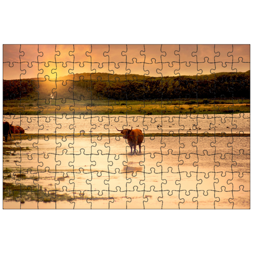 фото Магнитный пазл 27x18см."корова, горская корова, рога" на холодильник lotsprints
