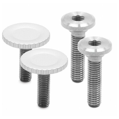 фото Винт peak design capture bolt pack silver для крепления (2шт)