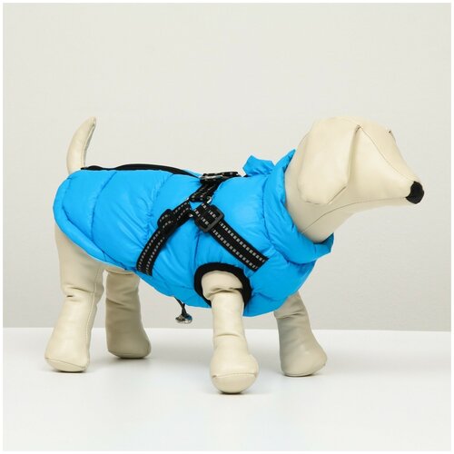 фото Куртка для собак со шлейкой, размер 22 (дс 41 см, ог 60 см, ог 43 см), лазурная сима-ленд