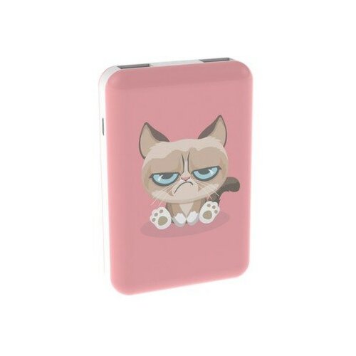 фото Аккумулятор внешний универсальный ritmix rpb-10007 grumpy cat 10000mah 2xusb 5в 2,4а