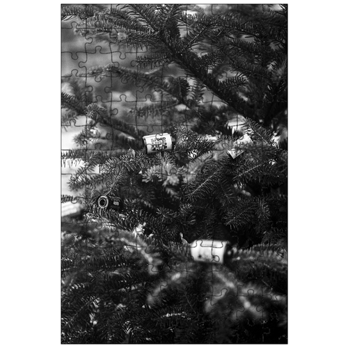 фото Магнитный пазл 27x18см."сосна, канистры с пленкой, дерево" на холодильник lotsprints