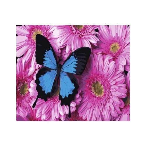 фото Набор для раскрашивания по номерам цветной gx34056 бабочка на цветах