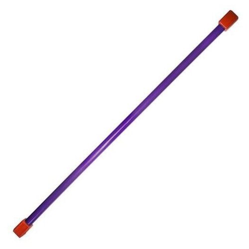 фото Гимнастическая палка (бодибар) 7кг 110 см фиолетовый (1107672)