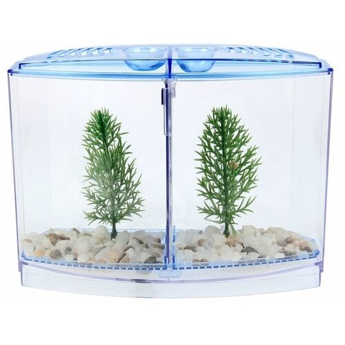 фото Veny's аквариумный набор: отсадник двухсекционный с грунтом и 2 растениями
