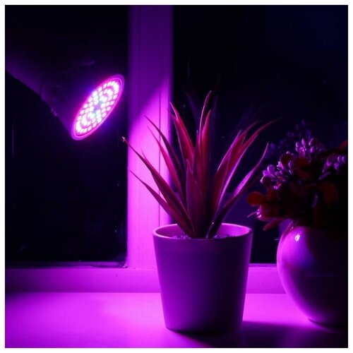 фото Светодиодная лампа для растений 4.5 вт, e27, 220в luazon lighting