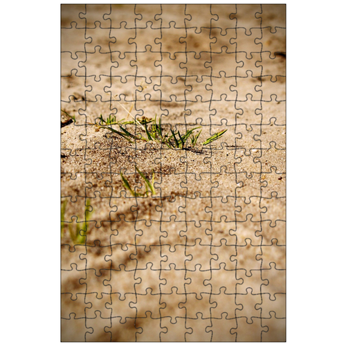 фото Магнитный пазл 27x18см."песок, трава, лезвие" на холодильник lotsprints