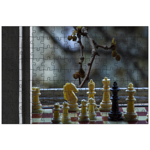 фото Магнитный пазл 27x18см."шахматы, дерево, окно" на холодильник lotsprints