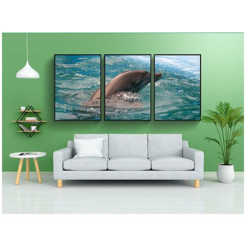 фото Модульный постер "дельфин, бассейн, доминиканский" 180x90 см. из 3х частей в тубусе, без рамки lotsprints