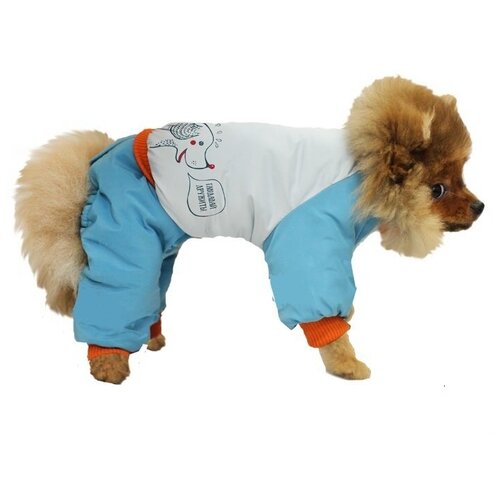 фото Одежда dogville комплект 52030lд полукомбинезон и куртка, принт, на кнопках, зима zooexpress