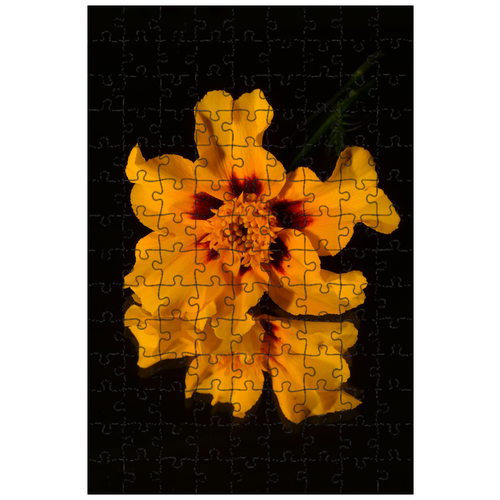 фото Магнитный пазл 27x18см."цветок, жёлтый, зеркало" на холодильник lotsprints