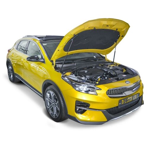 фото Упоры капота автоупор (арт. ukicee041) kia xceed 2020-н.в.