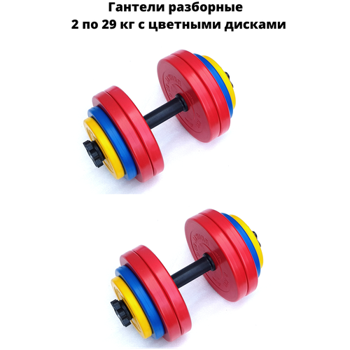 фото Гантели разборные brutal sport 2 шт. по 29 кг с цветными дисками