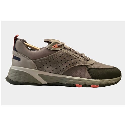 фото Кроссовки мужские geox sterrato man u25eca02211c1006