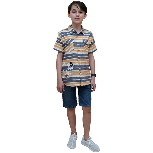 фото Рубашка & шорты комплект для мальчика, midimod gold, размер 116, цвет серый-горчичный/синий