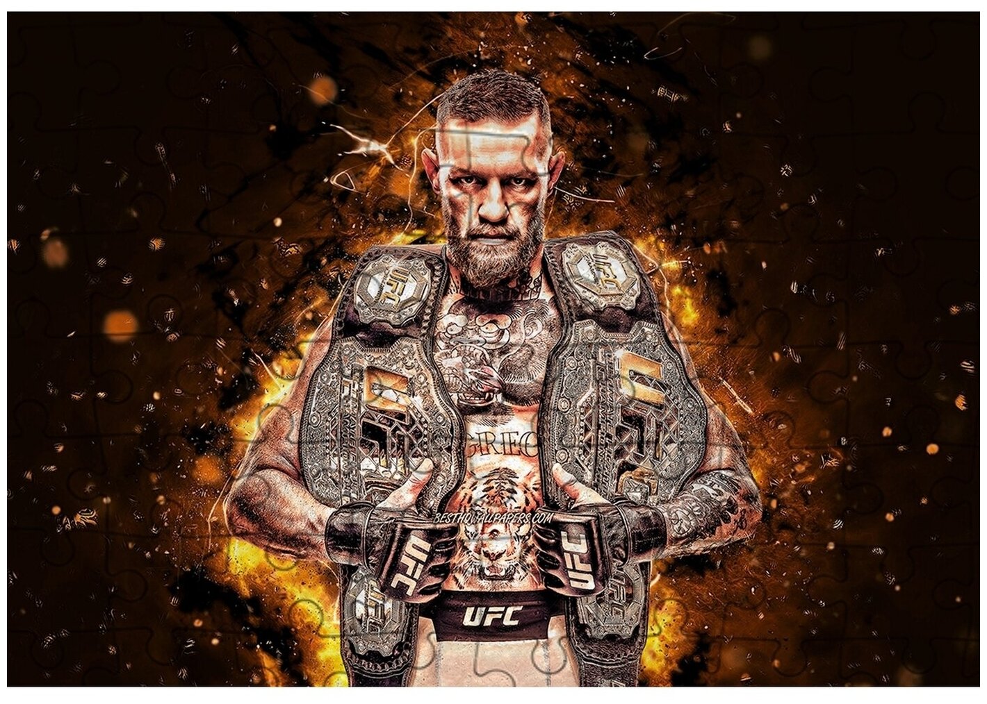 Ufc заставка