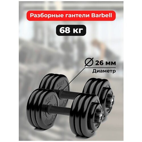 фото Гантели 34 кг - 2шт mb barbell разборные barfits