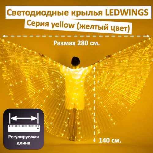 фото Светодиодные крылья для танца ledwings