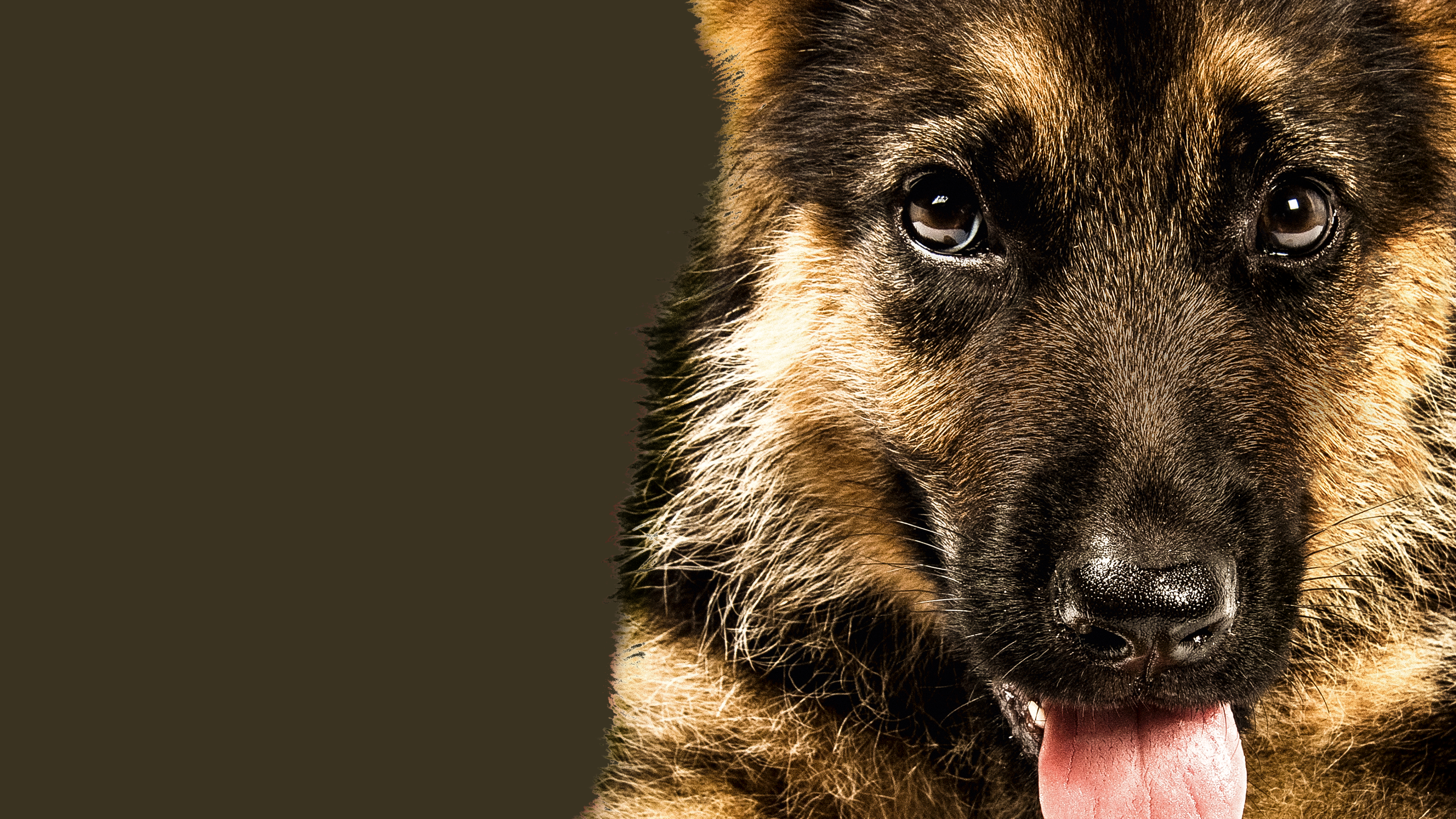 Үлкен анусын көрсету