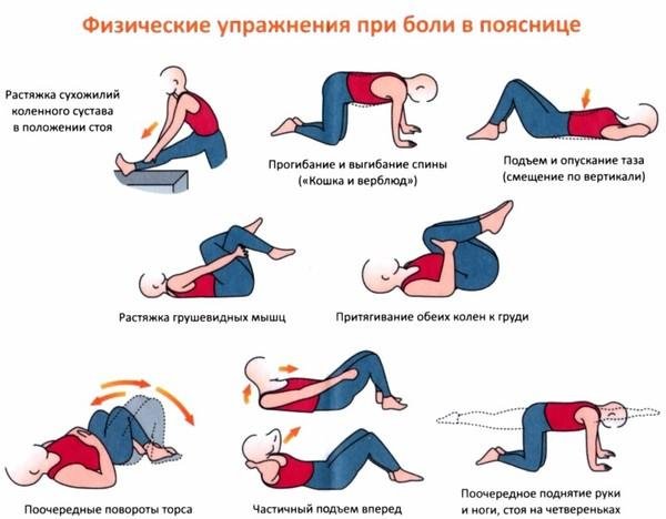 Растяжка мышц спины в домашних условиях Растяжка мышц спины в домашних условиях