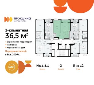 39,1 м², 1-комнатная квартира 12 300 000 ₽ - изображение 93