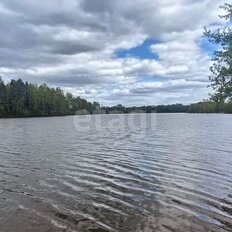 8 соток, участок - изображение 3