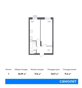 Квартира 42,3 м², 1-комнатная - изображение 1