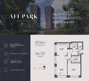 Квартира 65,6 м², 2-комнатная - изображение 1