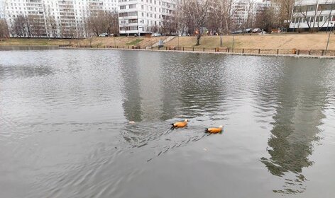 Купить квартиру у метро Фрунзенская (красная ветка) в Москве и МО - изображение 16