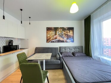 34,4 м², 1-комнатная квартира 2 500 ₽ в сутки - изображение 128