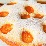 max_g480_c12_r1x1_pd10