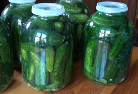 max_g480_c12_r4x3_pd10