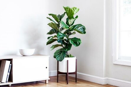 max_g480_c12_r4x3_pd10