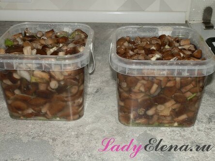 max_g480_c12_r4x3_pd10