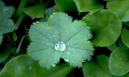 max_g480_c12_r4x3_pd10