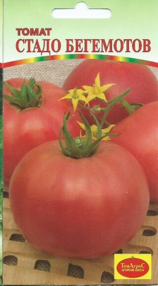 max_g480_c12_r2x3_pd10