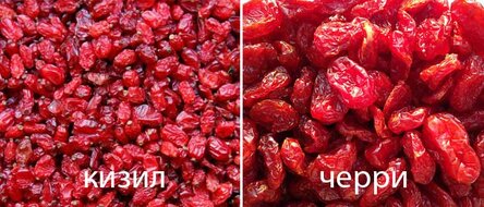 max_g480_c12_r16x9_pd10