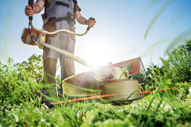 Виды травосборников - изображение 3