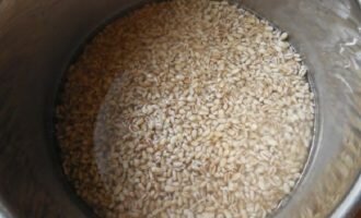 max_g480_c12_r4x3_pd10