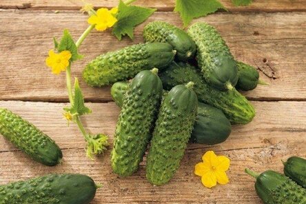 max_g480_c12_r4x3_pd10