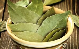 max_g480_c12_r4x3_pd10